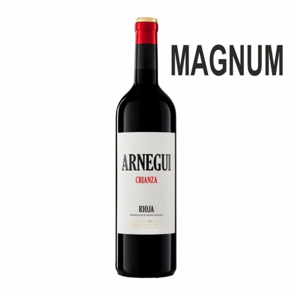 ARNEGUI CZA MAGNUM (6)